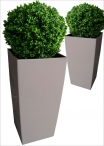 Boxwood Sphera LUX