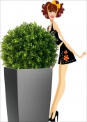 Boxwood Artificial LUX is resistant to various External Diameter