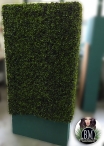 BOXWOOD 3D - CONTACT US FOR A QUOTE