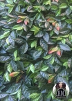 Artificial PHOTINIA 1 MQ tile