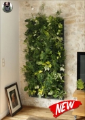 Picture of Vertical Garden Artificial Quality LUX - 180x60cm MOD. In - with or without Frame