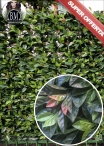 Artificial PHOTINIA 1 MQ tile