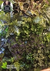 Vertical Garden LUX - Custom Panels - WRITE US FOR A QUOTE