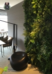 Vertical Garden LUX - Custom Panels - WRITE US FOR A QUOTE