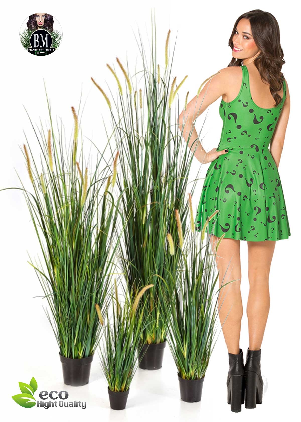 Festuca Artificiale Foxtail Wild Grass