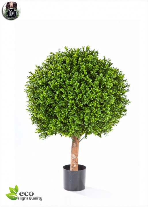 Boxwood Plant 2 Balls Diam. 50 and 40 H.120cm