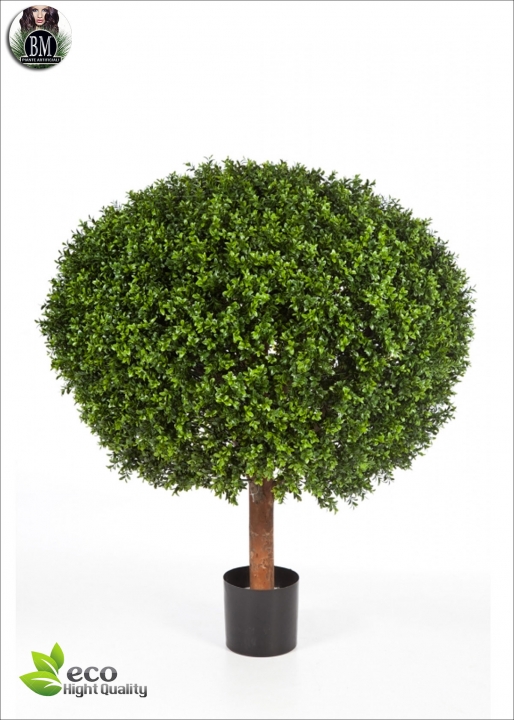 Boxwood Plant 2 Balls Diam. 50 and 40 H.120cm