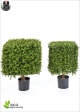 Boxwood Square On Frame Resistant Artificial outdoor 2 dimensions