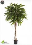 Boxwood Plant 2 Balls Diam. 50 and 40 H.120cm