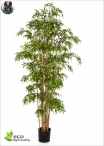 Bamboo LUX 3 Canne Various heights