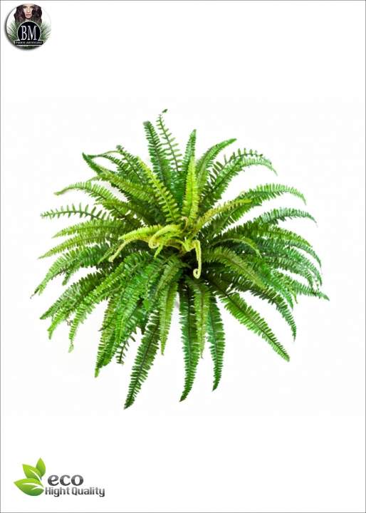 Fern Bush Diam Diam.65cm