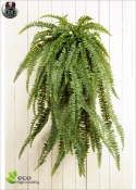 Fern Bush Large x64 L. 150cm