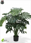 Ficus Benjamin Lux H.150cm