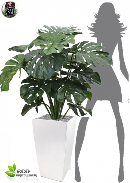 Ficus Benjamin Lux H.150cm