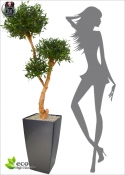 Olive tree BONSAI Artificial DELUXE h 160cm 