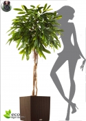 Longifolia Artificial LUX Umbrella 180cm H.