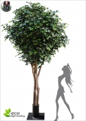 Artificial ficus Benjamin Exotica Giant Designers seconds.500 - Various patterns and Shapes on Request