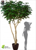 Ficus Artificiale Benjamin Exotica MAXI h.400cm - Vari modelli e forma su richiesta