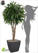 Artificial longifolia ROYAL TREE DELUXE h 180 ø90cm