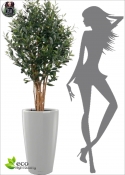 The olive tree Artificial Natural Tree Basic H. 120