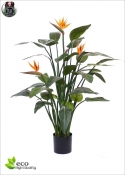 Sterlizia Artificial Flower New H. 145 