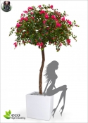 Bougainville Artificiale  Deluxe XL H.275