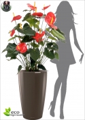 Anthurium Artificial Deluxe H. 80cm Red