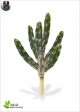 Cactus Artificial Tetragonal NEW H. 35 cm