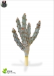 Cactus Artificial Tetragonal Brown NEW H. 35 cm