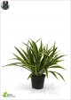 Artificial Chlorophytum Diverse 30cm