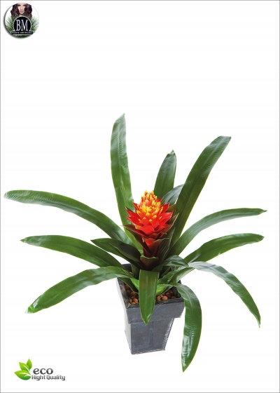 Guzmania Artificiale Conifera h. 50cm