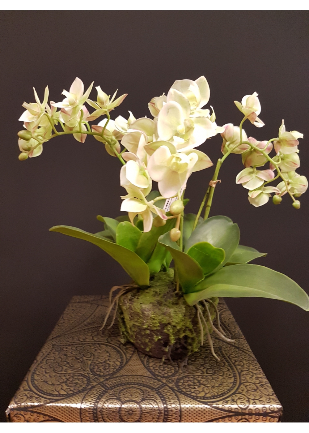 orchidea-artificiale-phalbellx4-cvaso-h-40cm-real-touch