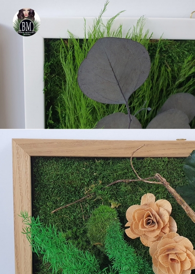 Quadro in Ball Moss,Moss Frame, quadro in muschio stabilizzato, quadro  vegetale, zero manutenzione : : Prodotti Handmade