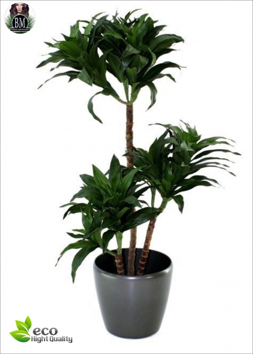 Artificial ficus Benjamin Green LUX three Heights