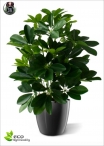 Artificial ficus Benjamin Green LUX three Heights