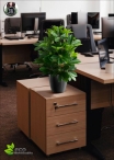 Artificial ficus Benjamin Green LUX three Heights