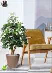 Artificial ficus Benjamin Green LUX three Heights