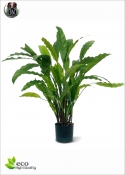 Calathea verde artificiale H. 60 cm