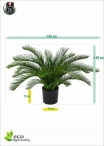 Cycas palm deluxe H.60cm