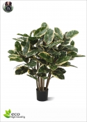 Ficus elastica artificiale variegato H.100cm