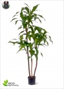 Dracaena Fragrans Deluxe artificiale x6 125 cm