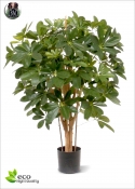 Schefflera artificiale H.80cm