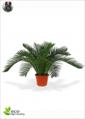 Cycas palma artificiale H.50cm