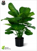 Calathea Fasciata Artificiale H.80cm