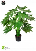 Aralia Japonica Artificiale H.80cm