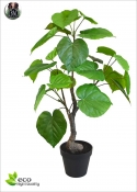 Ficus Umbellata Artificiale H.60cm 