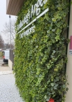 Vertical garden IVY "LUX" - custom Panels - CALL FOR QUOTE