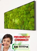 QUADRO di POLEMOSS (MISURE su RICHIESTA) - Chiamaci per un  Preventivo