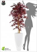 Acero bordeaux Artificiale H.145cm