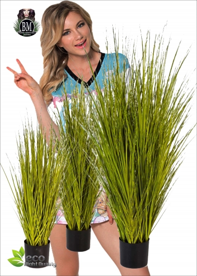 Festuca Artificiali Miscanthus Gold Grass 3 Misure